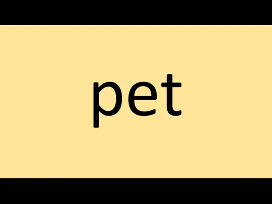 pet