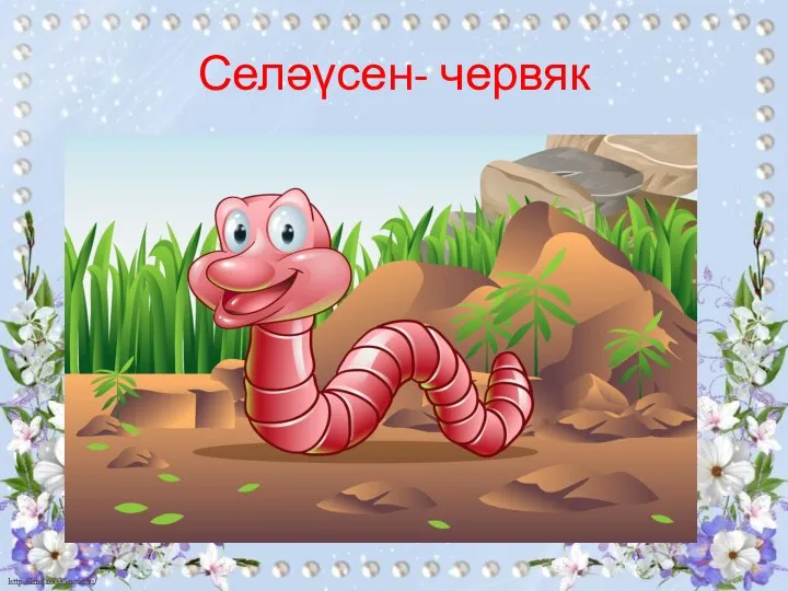Селәүсен- червяк