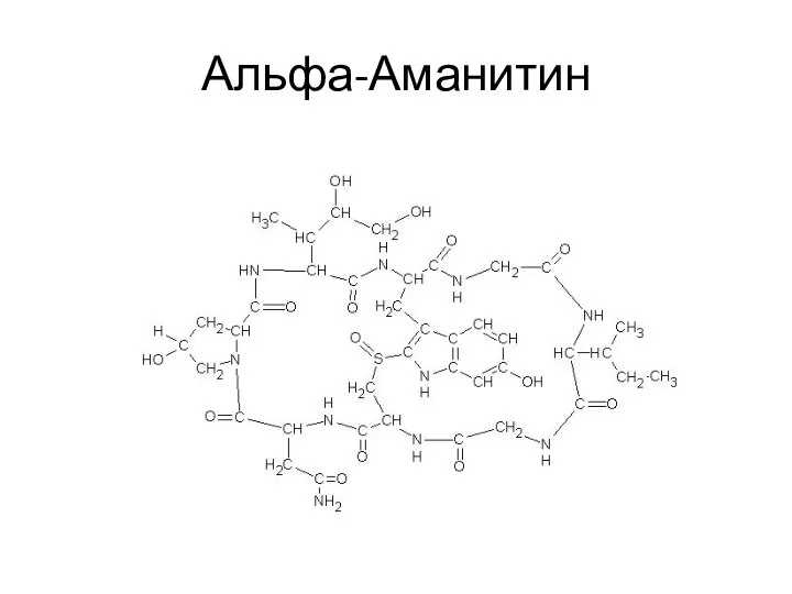 Альфа-Аманитин