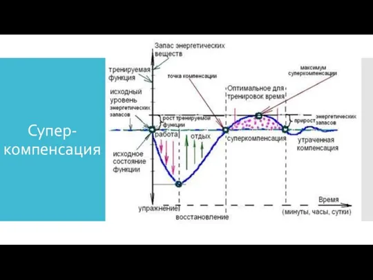 Супер-компенсация