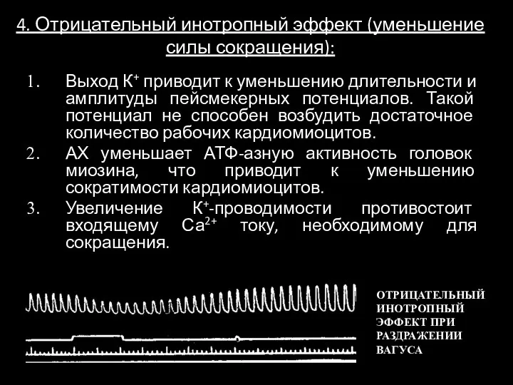 Выход К+ приводит к уменьшению длительности и амплитуды пейсмекерных потенциалов. Такой потенциал