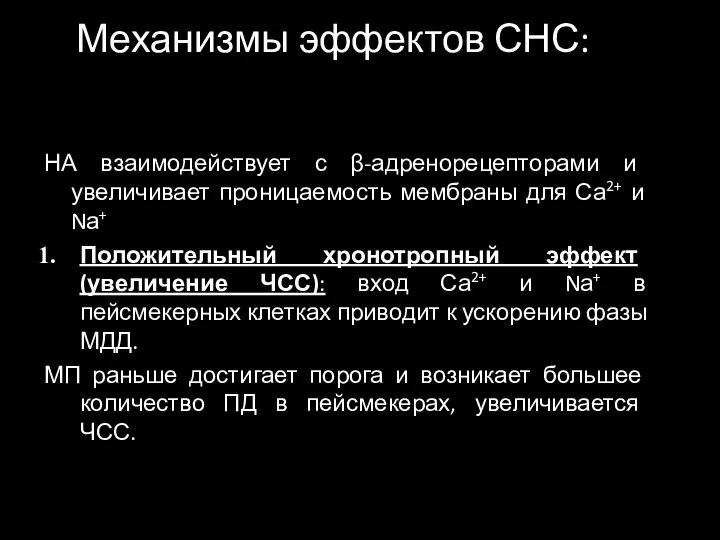 Механизмы эффектов СНС: НА взаимодействует с β-адренорецепторами и увеличивает проницаемость мембраны для