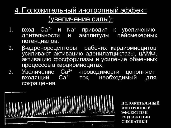 4. Положительный инотропный эффект (увеличение силы): вход Са2+ и Nа+ приводит к