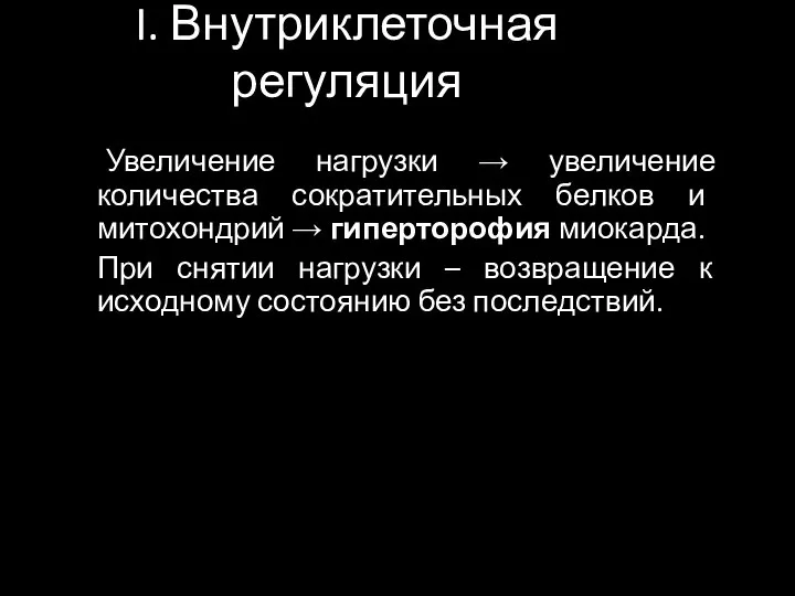 I. Внутриклеточная регуляция Увеличение нагрузки → увеличение количества сократительных белков и митохондрий