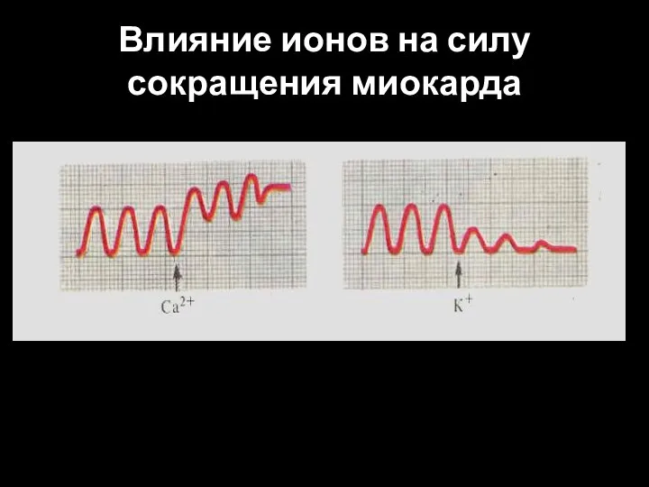 Влияние ионов на силу сокращения миокарда