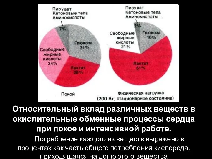 Относительный вклад различных веществ в окислительные обменные процессы сердца при покое и