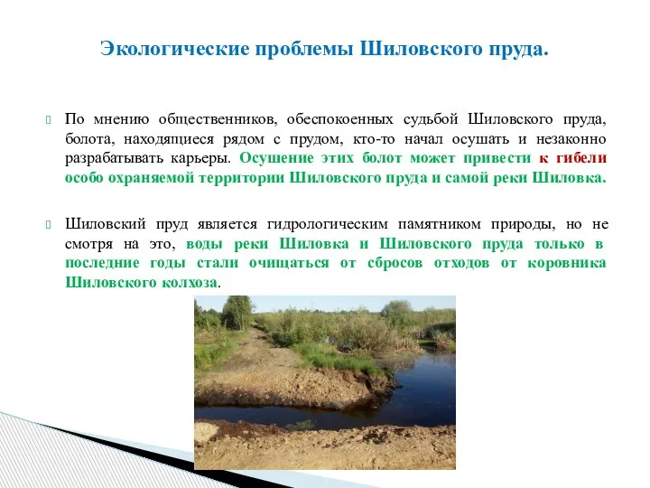 По мнению общественников, обеспокоенных судьбой Шиловского пруда, болота, находящиеся рядом с прудом,