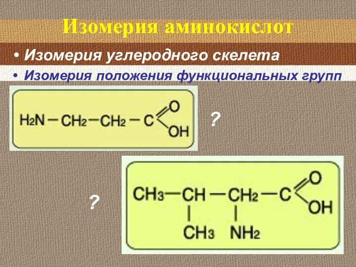 Изомерия аминокислот Изомерия углеродного скелета Изомерия положения функциональных групп ? ?