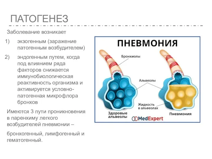 ПАТОГЕНЕЗ Заболевание возникает экзогенным (заражение патогенным возбудителем) эндогенным путем, когда под влиянием