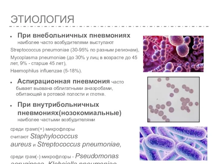 ЭТИОЛОГИЯ При внебольничных пневмониях наиболее часто возбудителями выступают Streptococcus pneumoniae (30-95% по