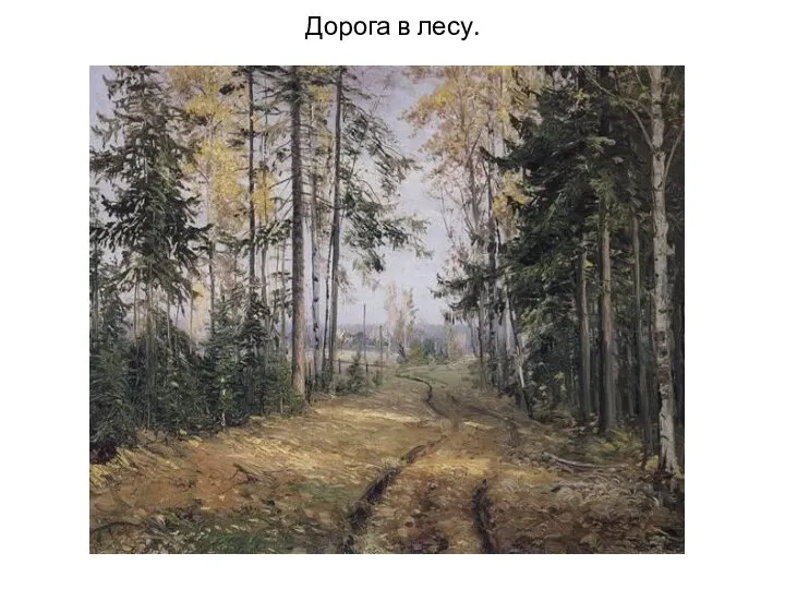 Дорога в лесу.