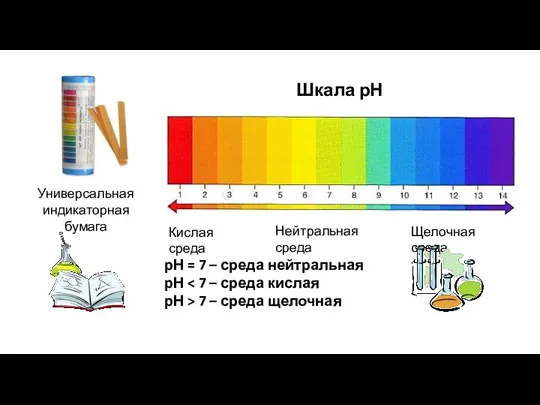 Универсальная индикаторная бумага Шкала рН Кислая среда Щелочная среда Нейтральная среда рН