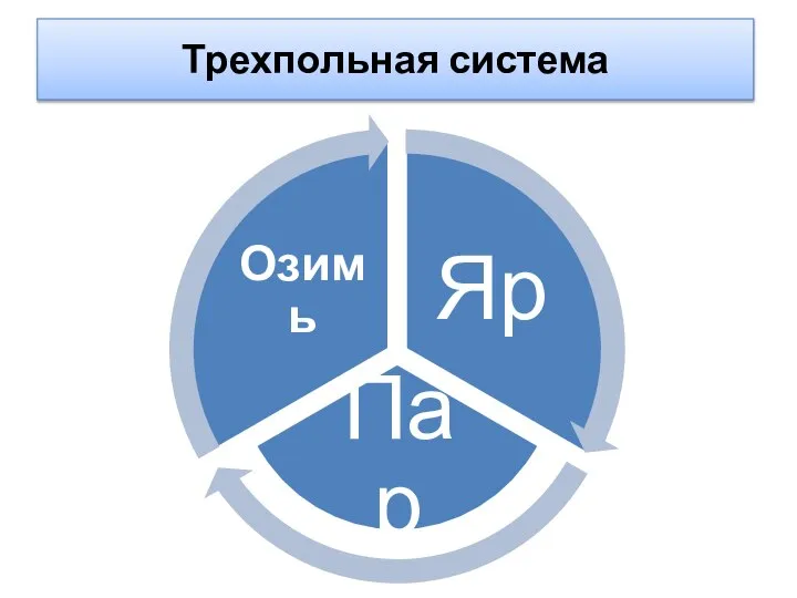 Трехпольная система