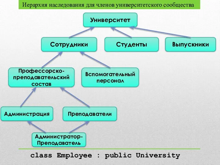 Университет Выпускники Студенты Сотрудники Вспомогательный персонал Профессорско-преподавательский состав Преподаватели Администрация Администратор-Преподаватель Иерархия