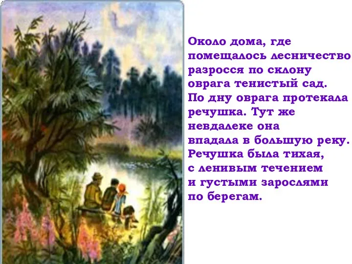 Около дома, где помещалось лесничество, разросся по склону оврага тенистый сад. По