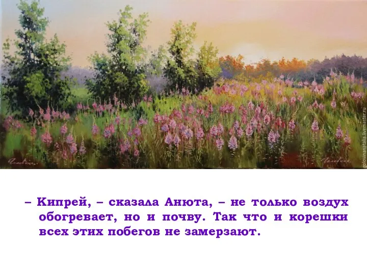 – Кипрей, – сказала Анюта, – не только воздух обогревает, но и