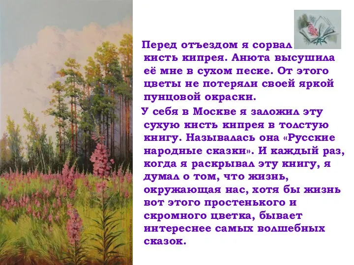 Перед отъездом я сорвал кисть кипрея. Анюта высушила её мне в сухом