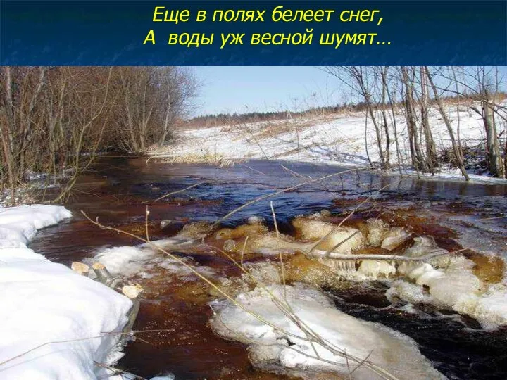 Еще в полях белеет снег, А воды уж весной шумят…