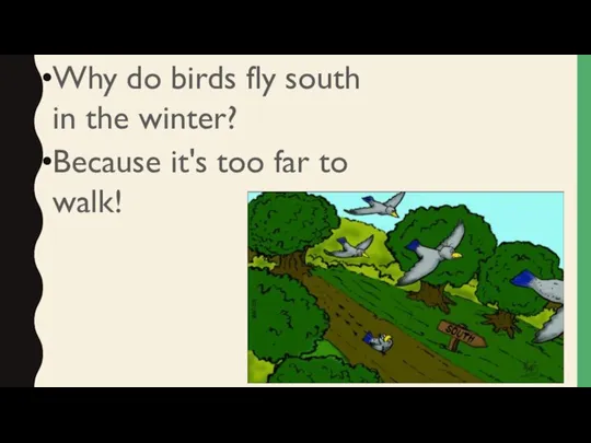 Why do birds fly south in the winter? Because it's too far to walk!
