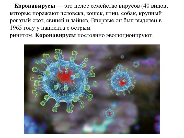 Коронавирусы — это целое семейство вирусов (40 видов, которые поражают человека, кошек,