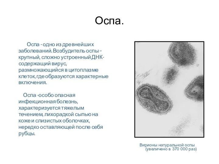 Оспа. Оспа - одно из древнейших заболеваний. Возбудитель оспы – крупный, сложно