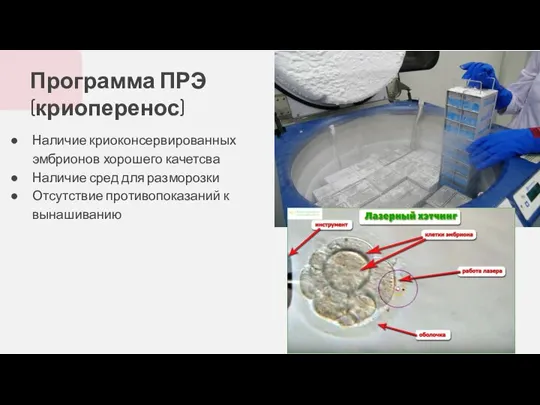 Программа ПРЭ (криоперенос) Наличие криоконсервированных эмбрионов хорошего качетсва Наличие сред для разморозки Отсутствие противопоказаний к вынашиванию