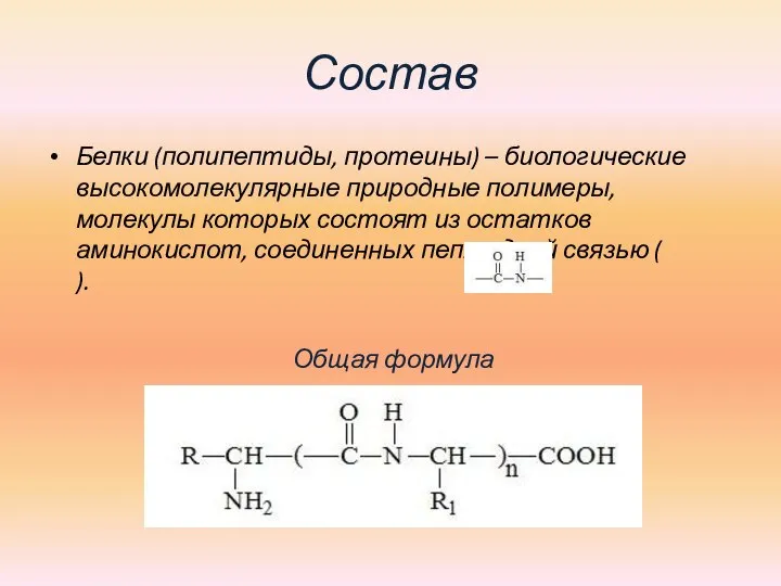 Состав Белки (полипептиды, протеины) – биологические высокомолекулярные природные полимеры, молекулы которых состоят