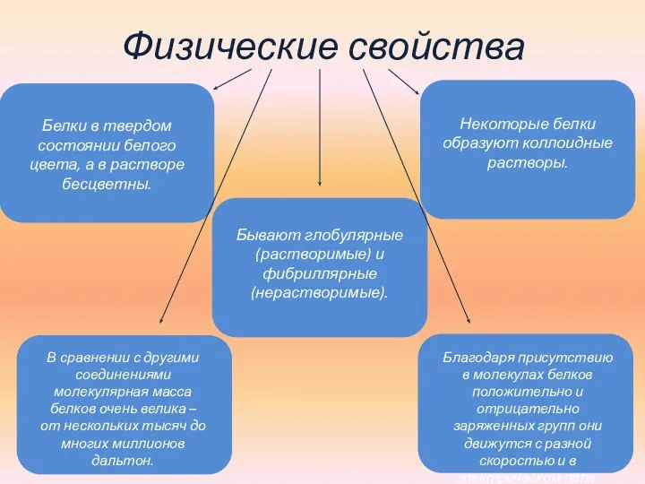 Физические свойства Белки в твердом состоянии белого цвета, а в растворе бесцветны.