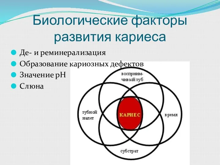 Биологические факторы развития кариеса Де- и реминерализация Образование кариозных дефектов Значение рН Слюна