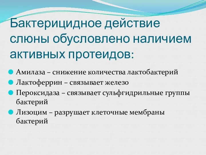 Бактерицидное действие слюны обусловлено наличием активных протеидов: Амилаза – снижение количества лактобактерий