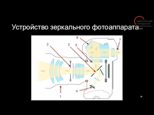 Устройство зеркального фотоаппарата