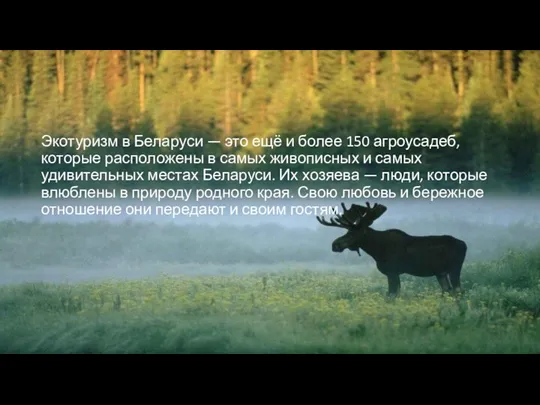 Экотуризм в Беларуси — это ещё и более 150 агроусадеб, которые расположены