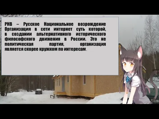 РНВ – Русское Национальное возрождение Организация в сети интернет суть которой, в