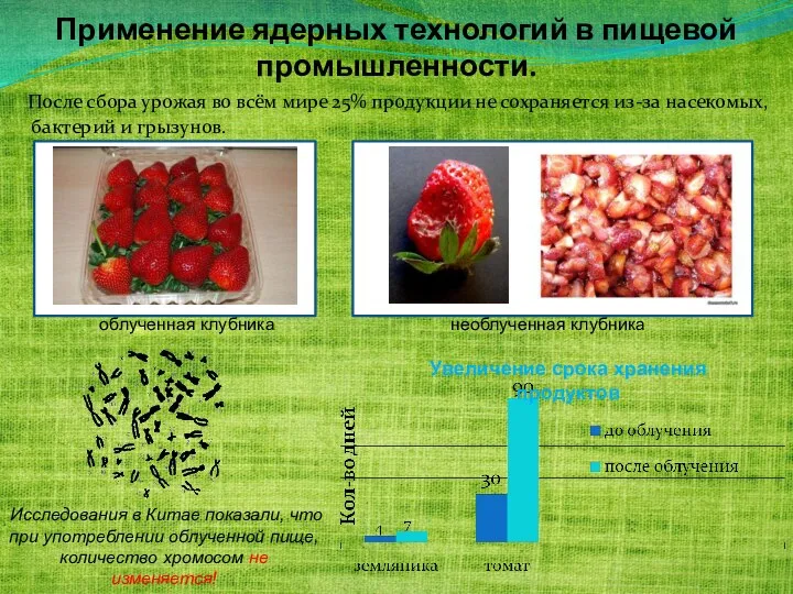 Применение ядерных технологий в пищевой промышленности. После сбора урожая во всём мире