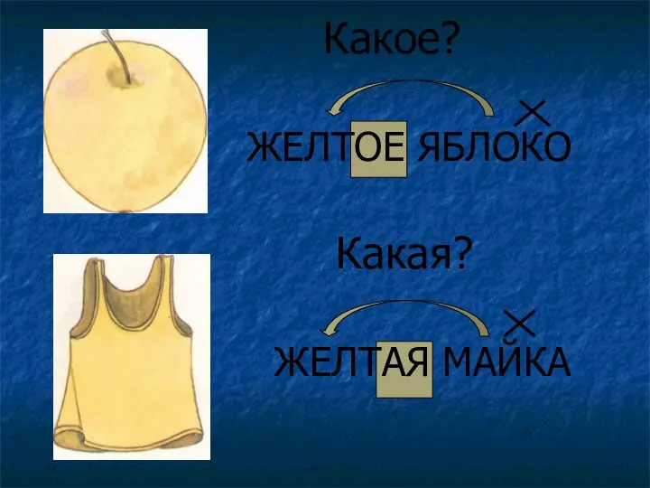 Какое? ЖЕЛТОЕ ЯБЛОКО Какая? ЖЕЛТАЯ МАЙКА