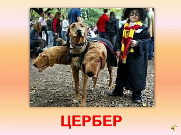 ЦЕРБЕР