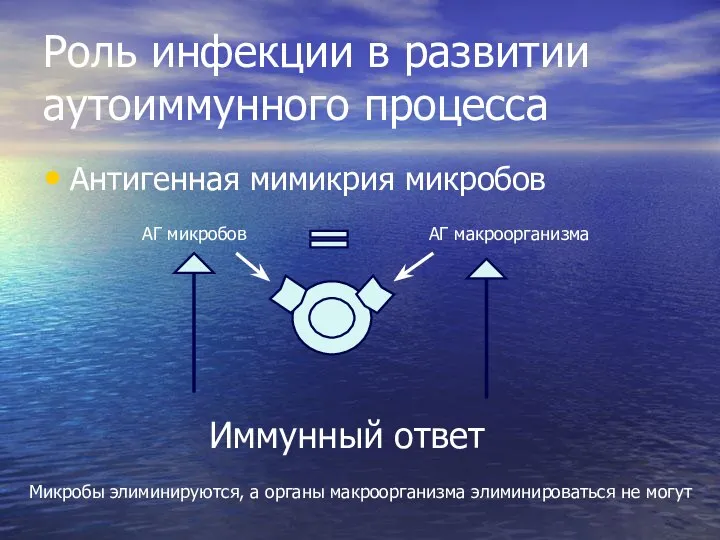 Роль инфекции в развитии аутоиммунного процесса Антигенная мимикрия микробов Иммунный ответ АГ