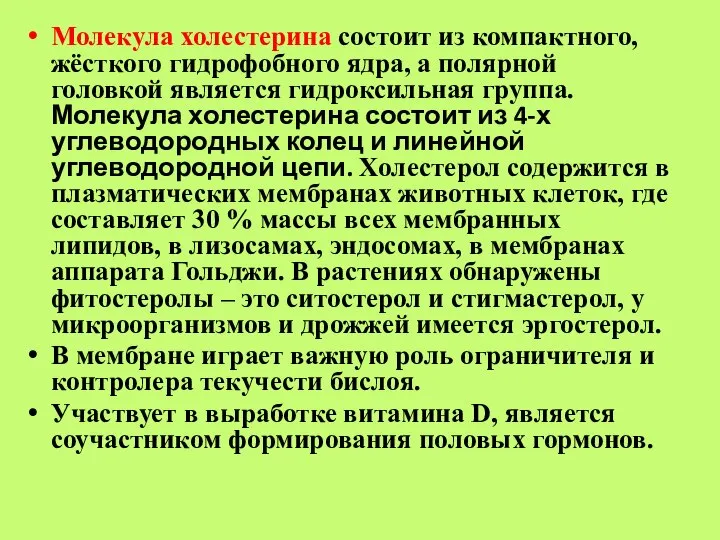 Молекула холестерина состоит из компактного, жёсткого гидрофобного ядра, а полярной головкой является