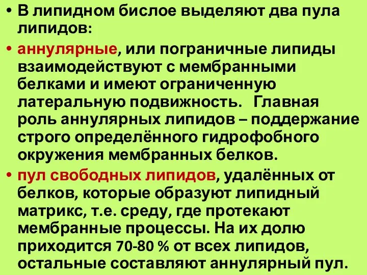 В липидном бислое выделяют два пула липидов: аннулярные, или пограничные липиды взаимодействуют