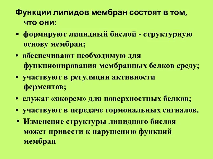 Функции липидов мембран состоят в том, что они: • формируют липидный бислой