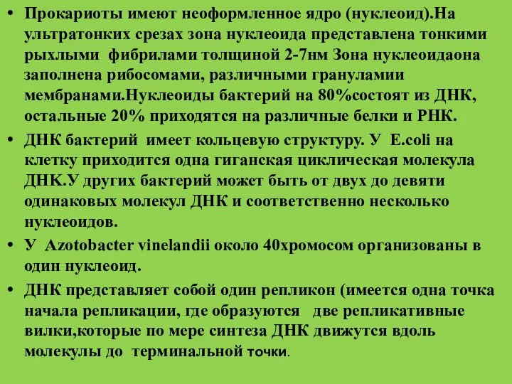 Прокариоты имеют неоформленное ядро (нуклеоид).На ультратонких срезах зона нуклеоида представлена тонкими рыхлыми