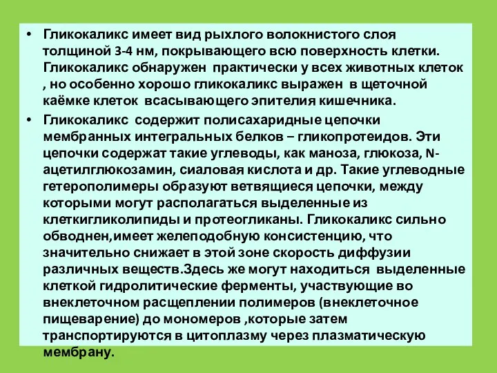 Гликокаликс имеет вид рыхлого волокнистого слоя толщиной 3-4 нм, покрывающего всю поверхность