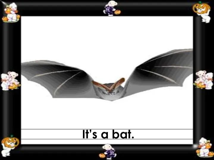 It’s a bat.