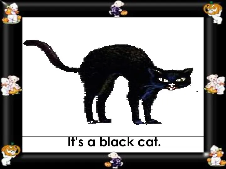 It’s a black cat.