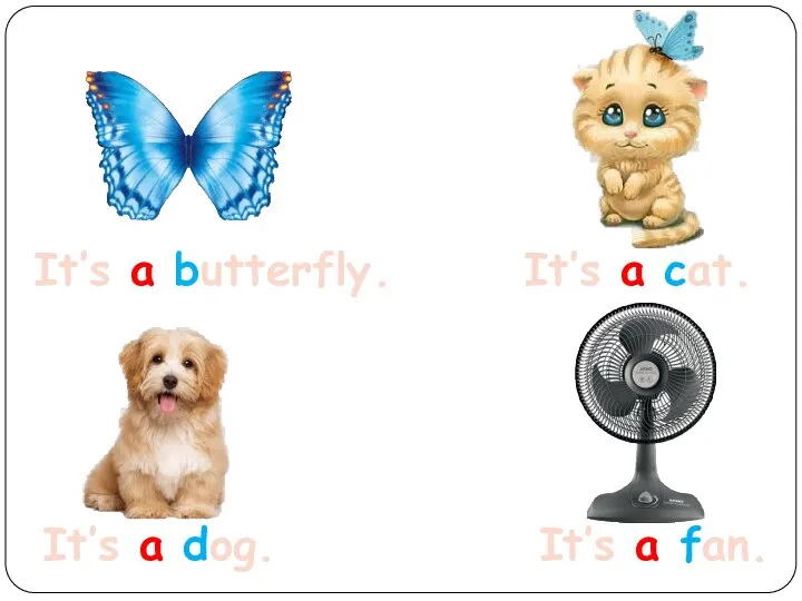 It’s a butterfly. It’s a cat. It’s a dog. It’s a fan.