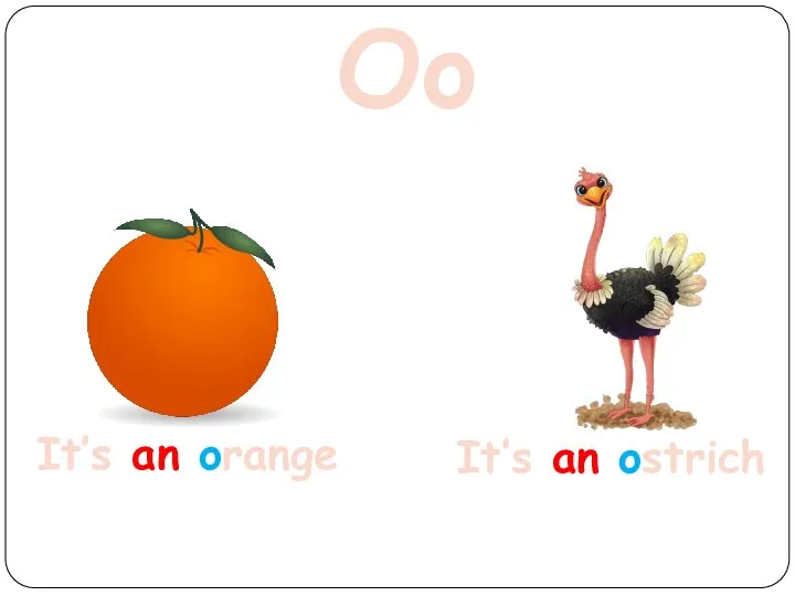 Oo It’s an orange It’s an ostrich