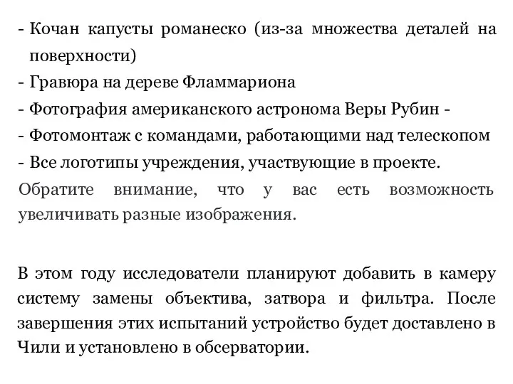 Кочан капусты романеско (из-за множества деталей на поверхности) Гравюра на дереве Фламмариона