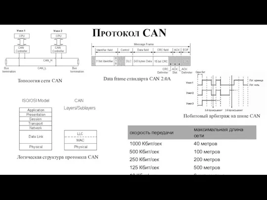 Data frame стандарта CAN 2.0A Побитовый арбитраж на шине CAN Топология сети