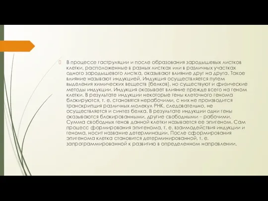 В процессе гаструляции и после образования зародышевых листков клетки, расположенные в разных