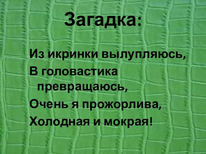 Загадка: Из икринки вылупляюсь, В головастика превращаюсь, Очень я прожорлива, Холодная и мокрая!